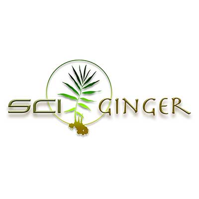SCI - Ginger