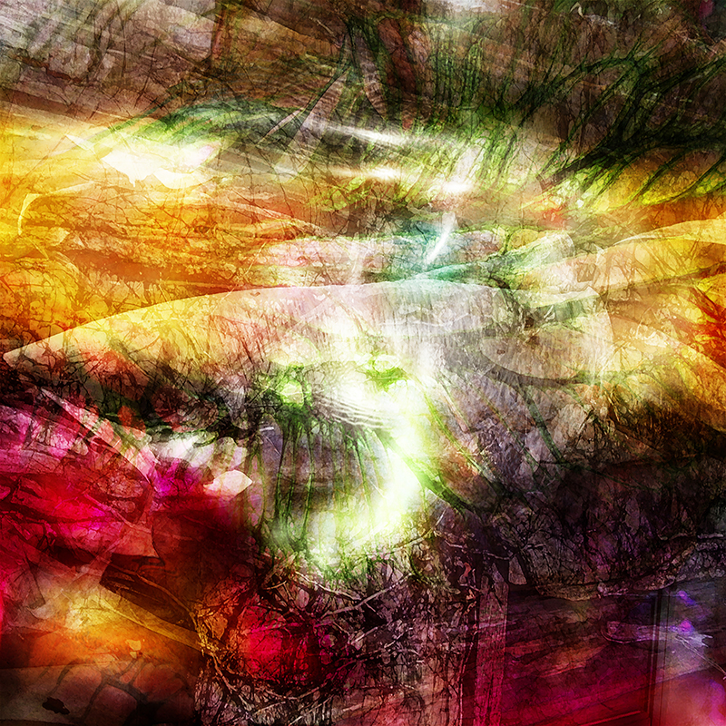 Œuvre 5