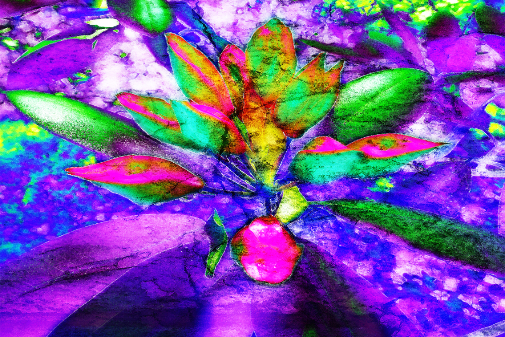 Dans un jardin III