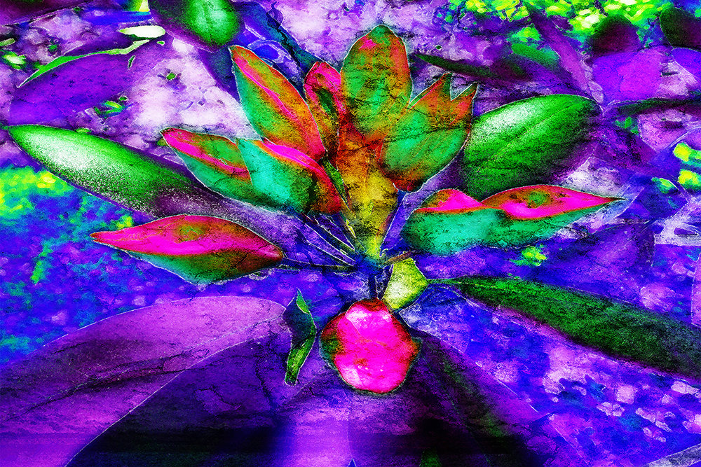 Œuvre 1