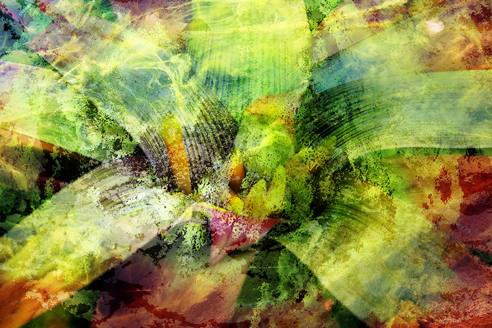 Sous-bois IV